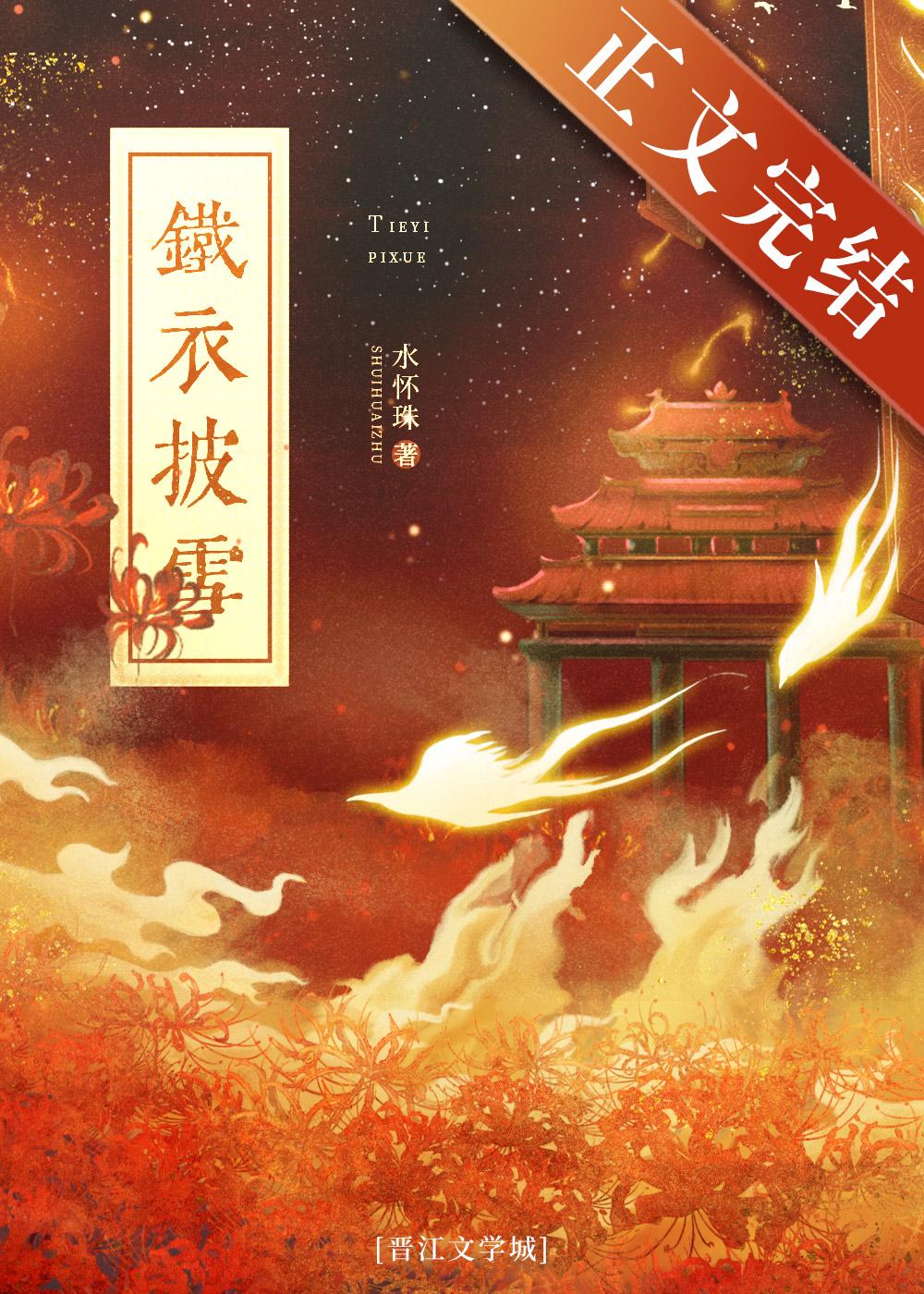 铁衣披雪封面