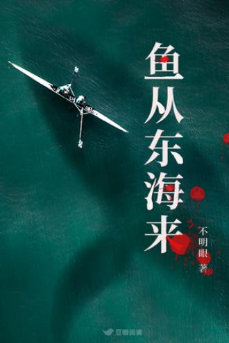 鱼从东海来封面
