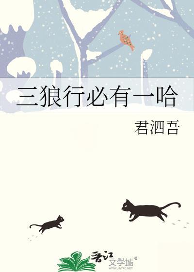 三狼行必有一哈封面