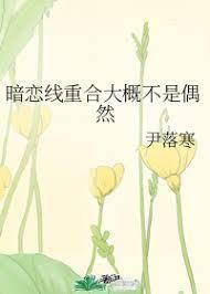 暗恋线重合大概不是偶然封面