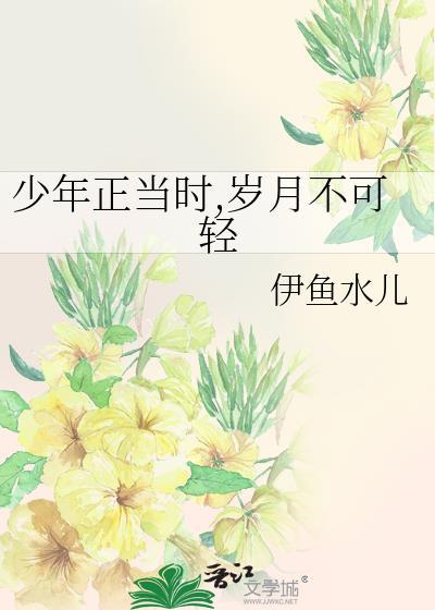 少年正当时，岁月不可轻封面