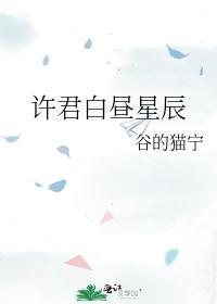 许君白昼星辰封面