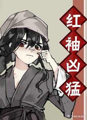 红袖凶猛[无限]封面
