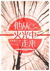 他从火光中走来封面
