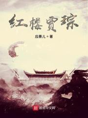红楼贾琮封面