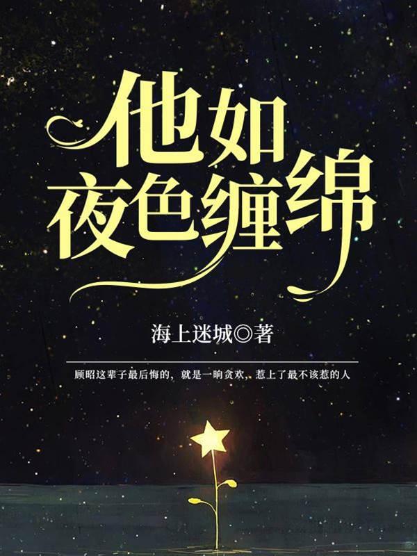 他如夜色缠绵封面