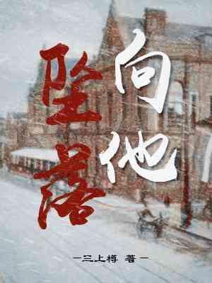 向他坠落封面