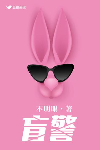 盲警封面