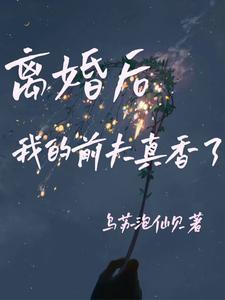离婚后我的前夫真香了封面