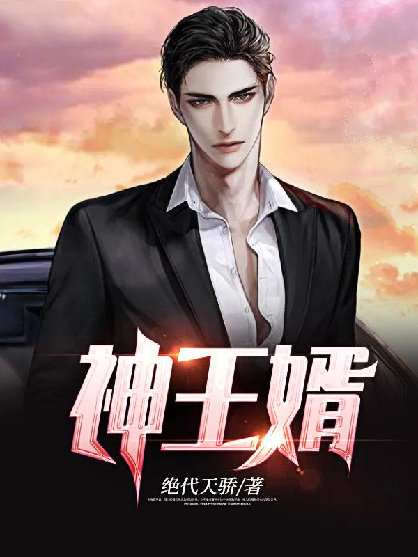 神王婿封面