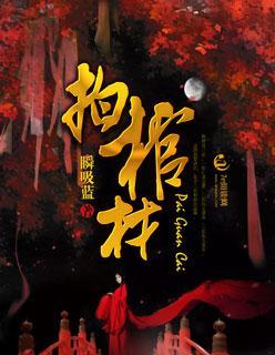 拍棺材封面