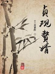 贞观赘婿封面