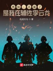 亮剑：不装了，是我在辅佐李云龙封面