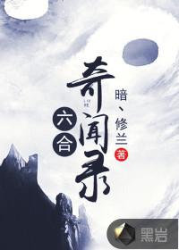 六合奇闻录封面
