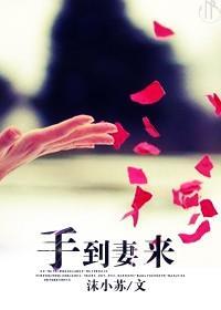 手到妻来封面
