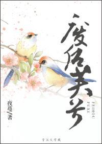废后芙兮封面