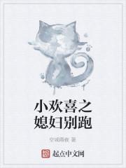 小欢喜之媳妇别跑封面