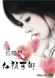红楼梦之红颜管家封面