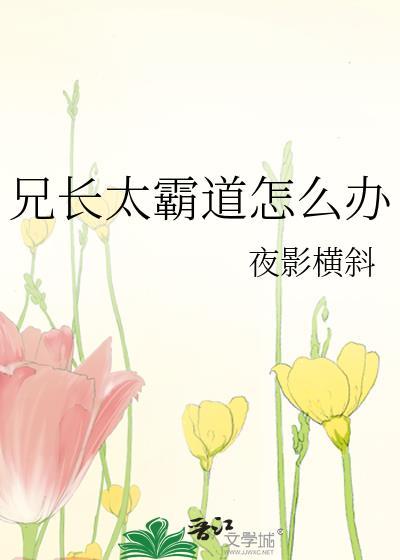 兄长太霸道怎么办封面