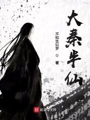 大秦半仙封面