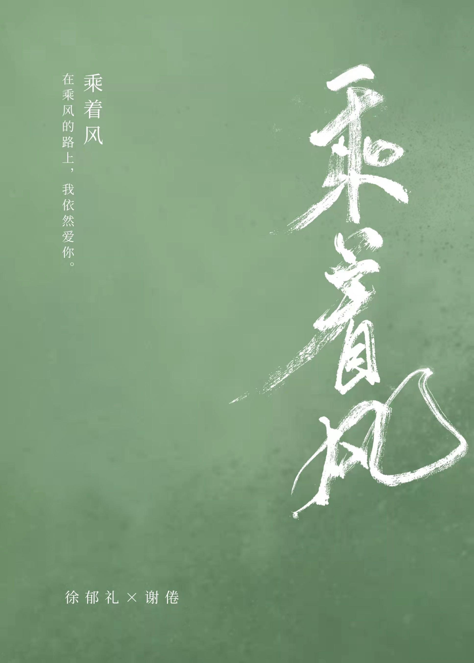 乘着风封面