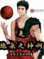 是绝杀之神啊封面