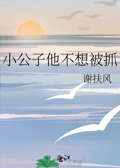 小公子他不想被抓封面