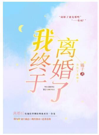 我终于离婚了封面