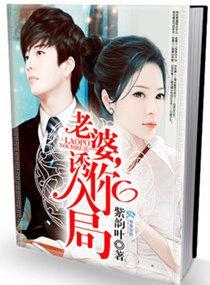 老婆，诱你入局封面