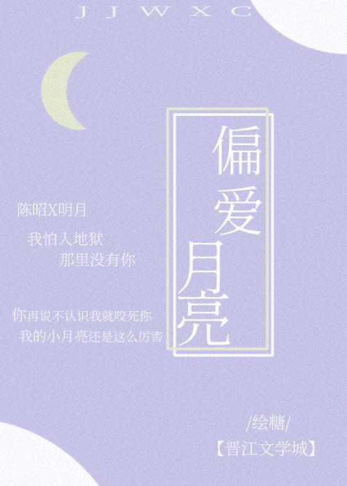 偏爱月亮封面