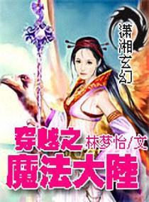 穿越之魔法大陆封面