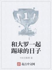 和大罗一起踢球的日子封面
