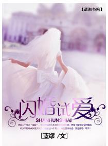 闪婚试爱封面