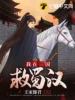 我在三国救蜀汉封面