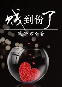 贱到份了封面