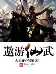遨游仙武封面