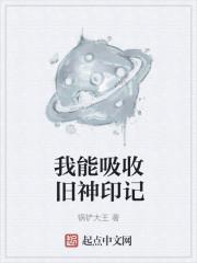 我能吸收旧神印记封面