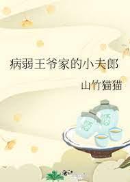 病弱王爷家的小夫郎封面