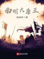 南明大唐王封面