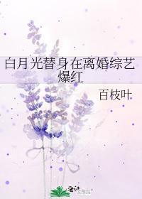 白月光替身在离婚综艺爆红封面