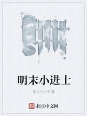 明末小进士封面