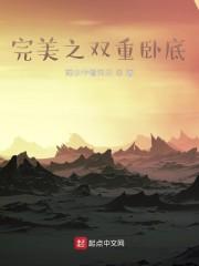 完美之双重卧底封面