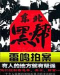 东北黑帮封面
