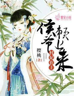 村妃在上：侯爷赖上来封面