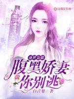 盛世枭宠：腹黑娇妻你别逃封面