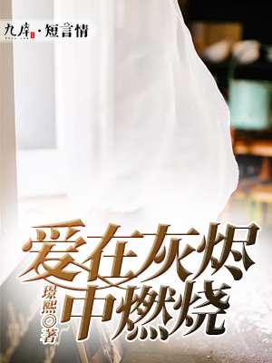爱在灰烬中燃烧封面