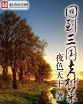 回到三国去种菜封面