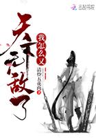 我怎么又天下无敌了封面