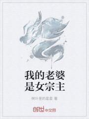 我的老婆是女宗主封面