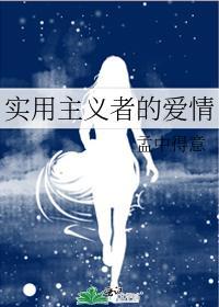 实用主义者的爱情封面